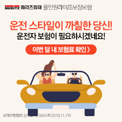 ê´ê³  ë©ë¦¬ì¸ íì¬ ì´ì ìë³´í ë°°ëê´ê³  ìëë¤