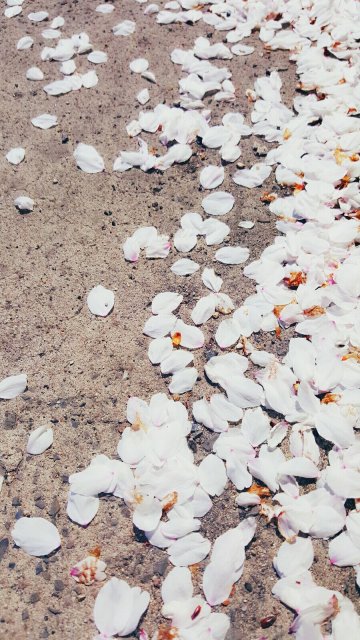 찬혁서혁맘이희정