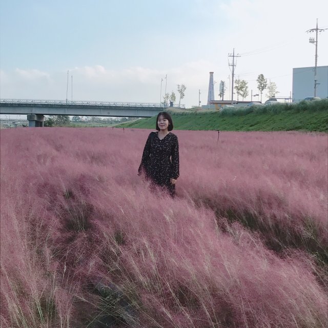 미네랄쌤