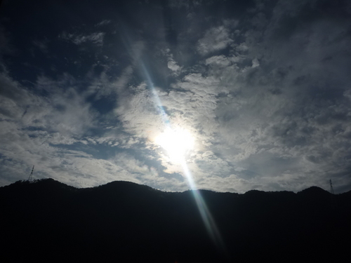 달빛처럼은은한