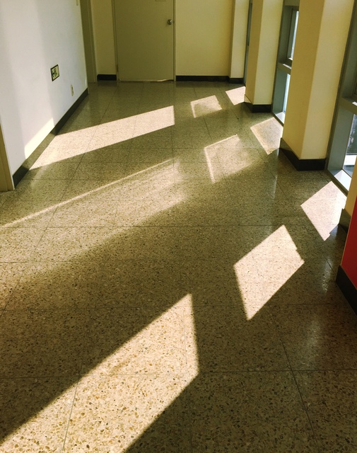 호연지기의 그것