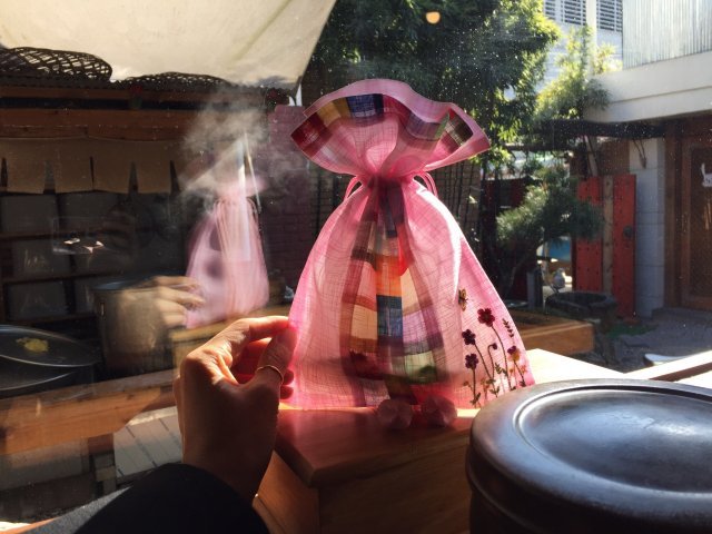 강아름다운애리