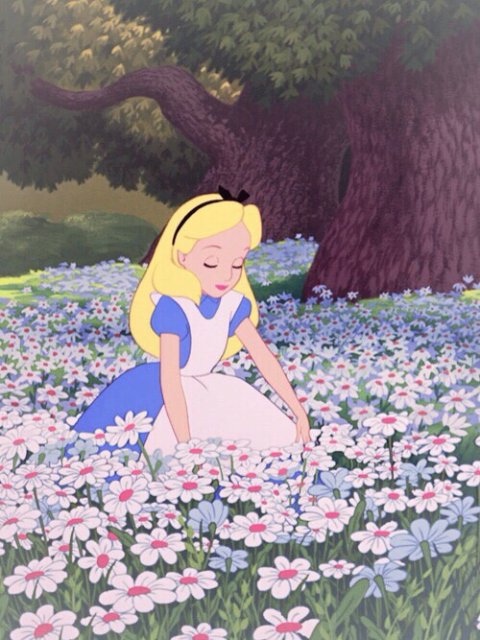 동백꽃
