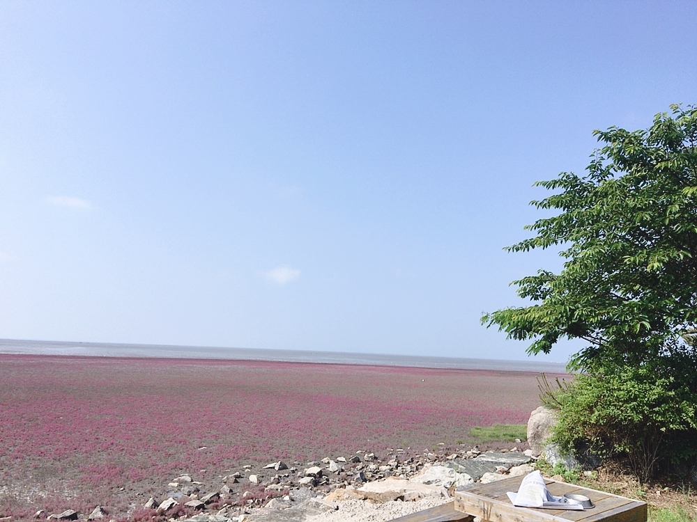 고민많는 소심이