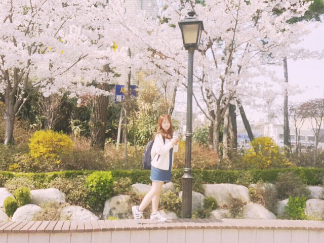 밥이조아