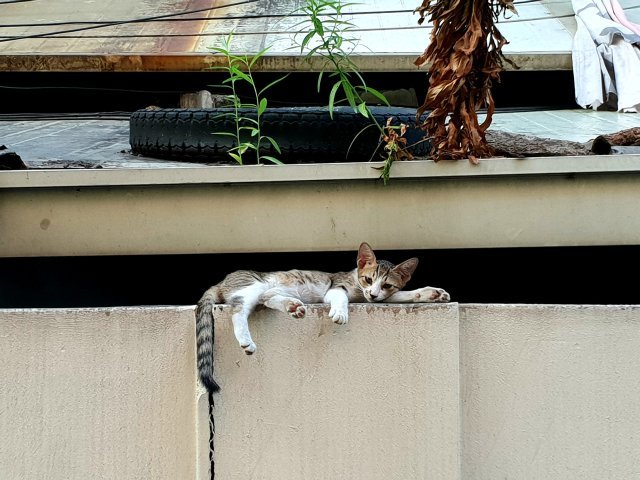 달콤한너의도시