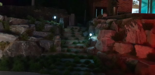 김후자