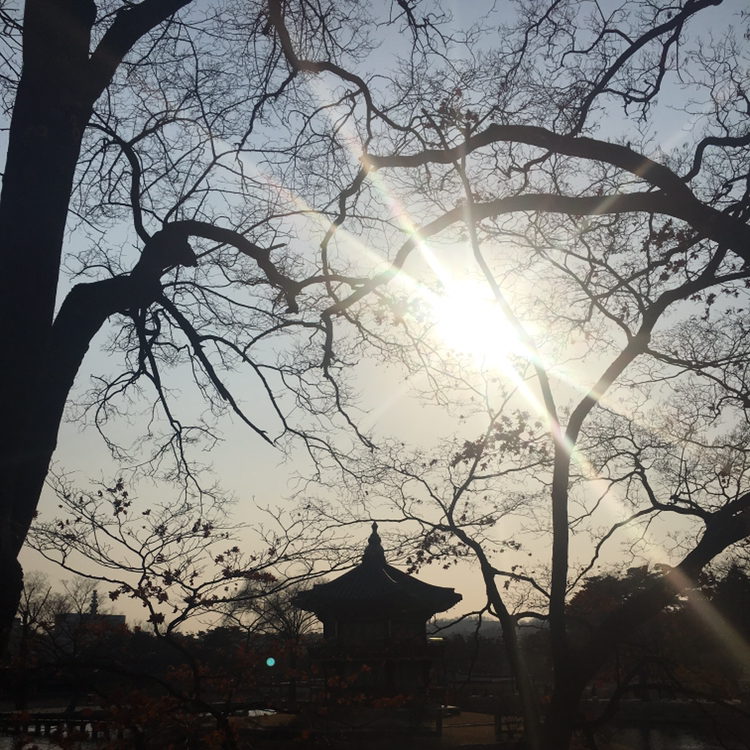 Egosumoperariusstudens