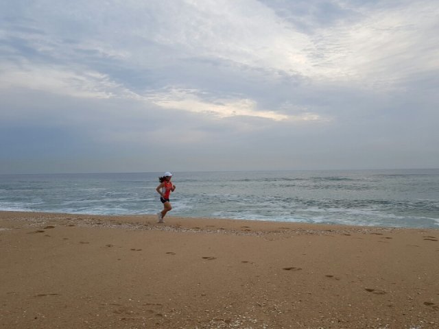 진경