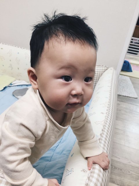 고요섭