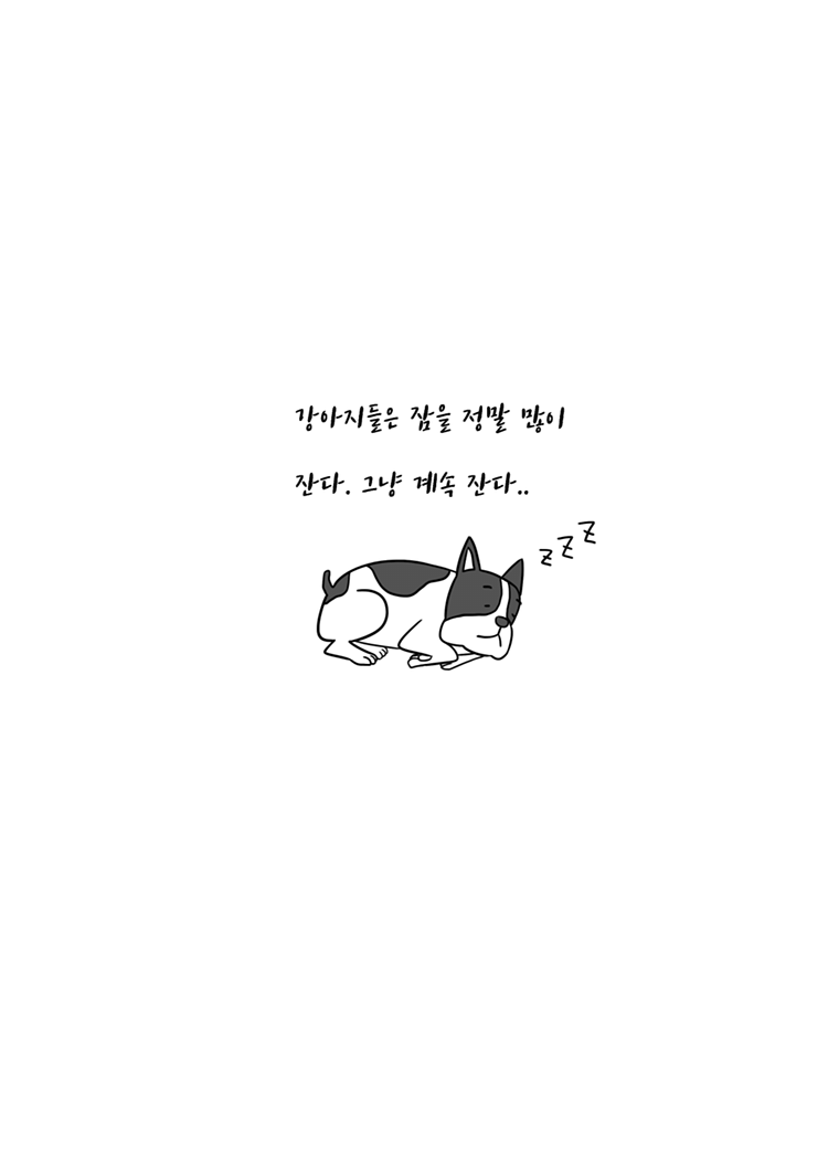 기승전 개코
