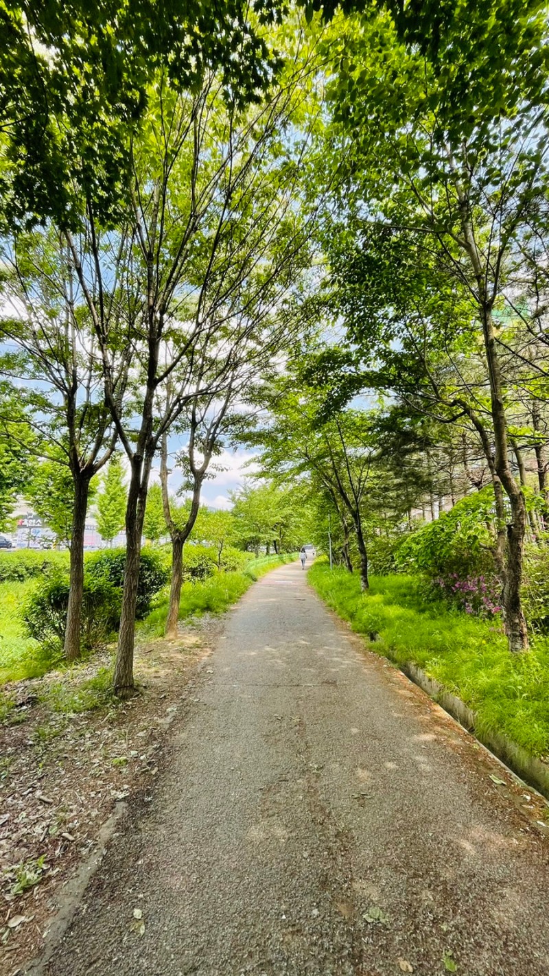아름다운 산책 이미지