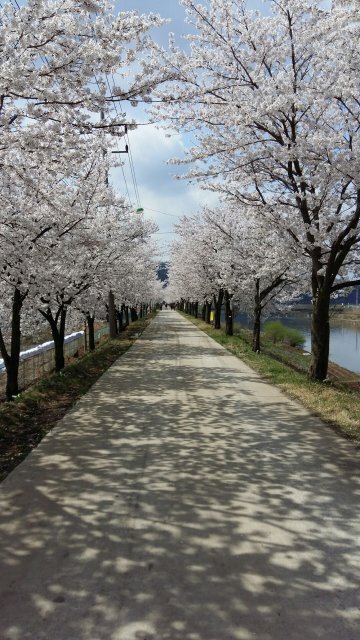 김교숙희연희민맘