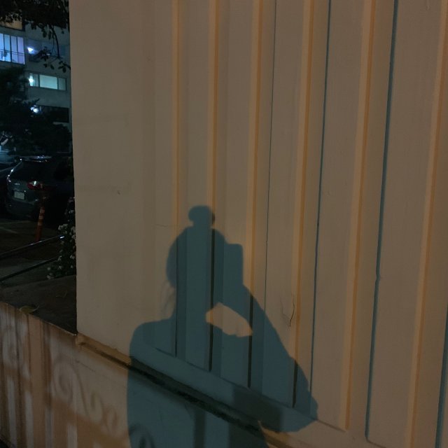 안효진