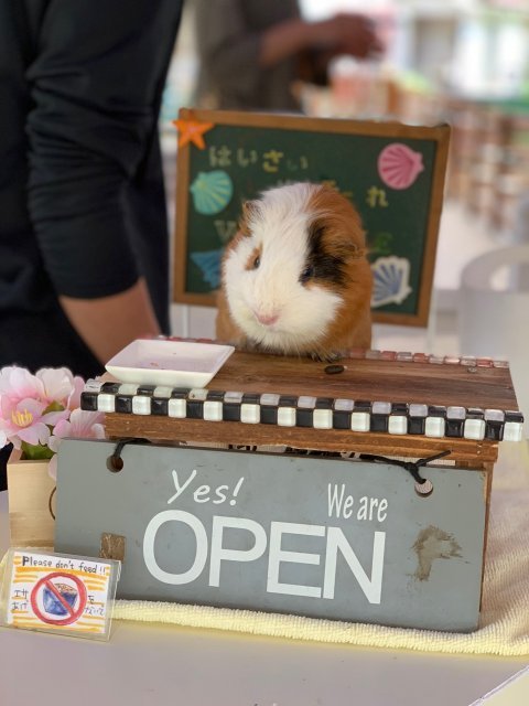 매일매일 순간순간