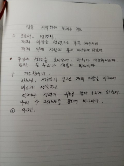 박지은카타리나