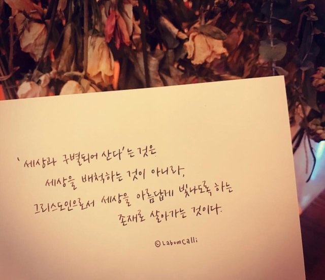 정동호