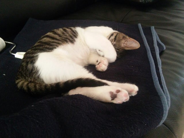 유희윤성수아맘