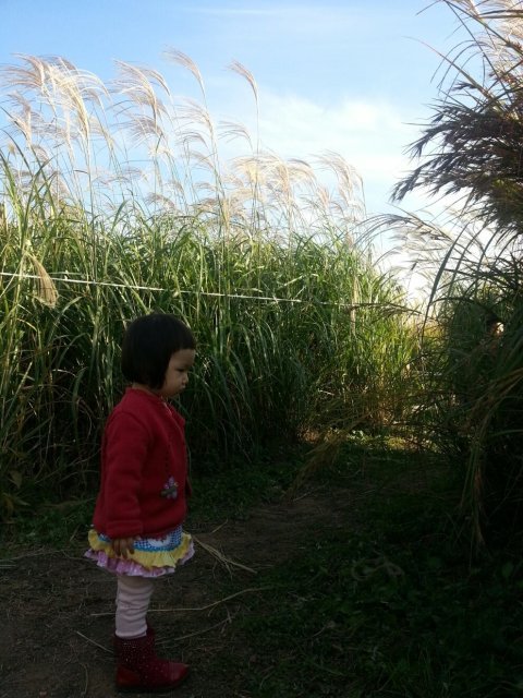 너에게꽃이되고파