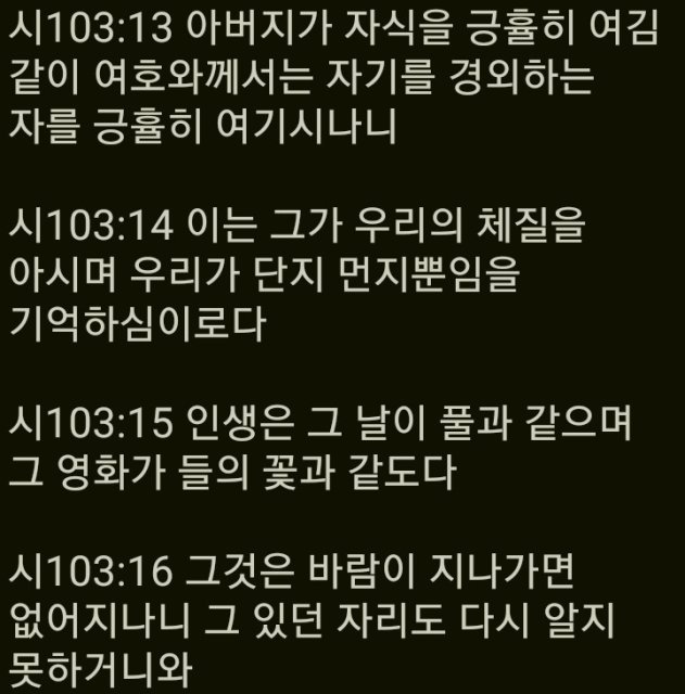박은미