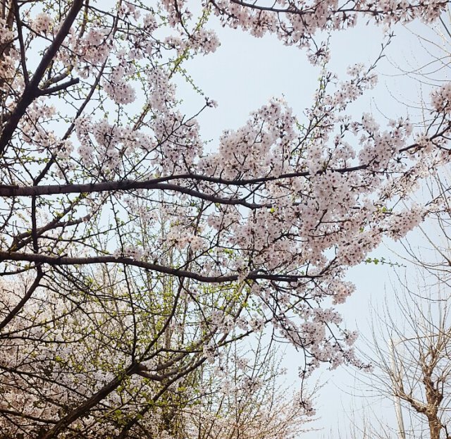 노해미정윤수윤재