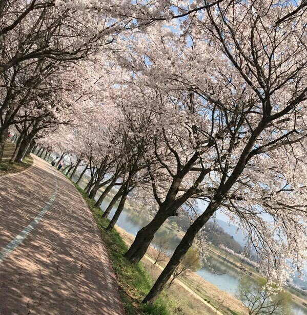 나무곁을 흐르는 뭄