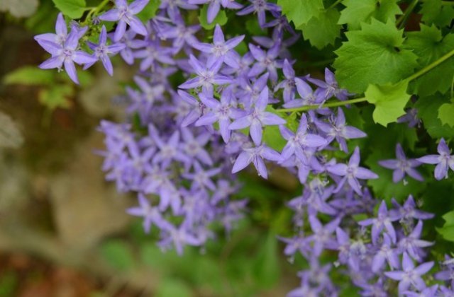 혼자마시는 커피