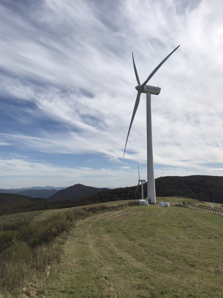 그림 그리는 영어선생