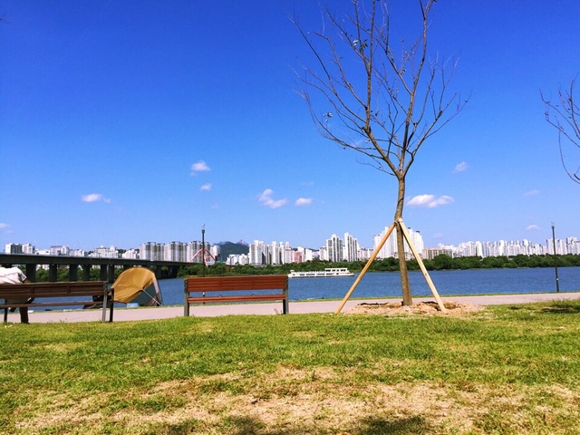 파리의 시한부 백수