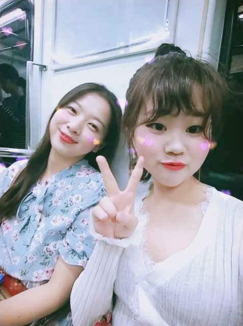애용