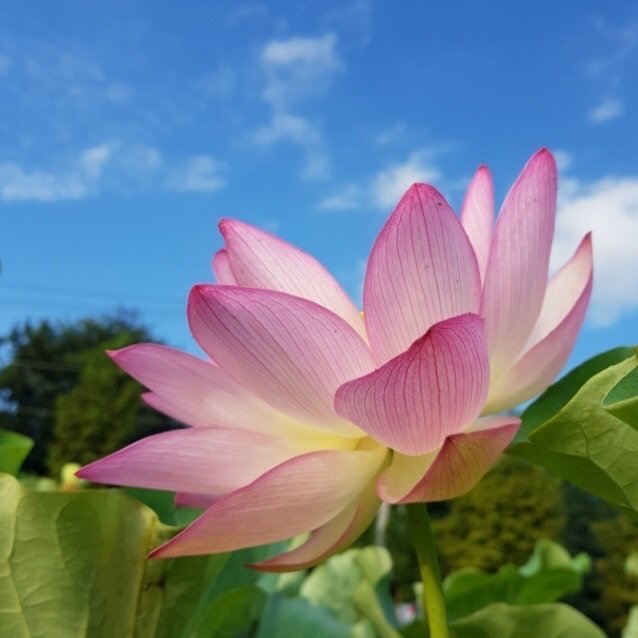 오늘 하루도 꾸역꾸역 잘 살았다