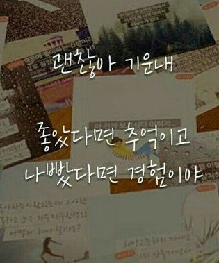 비익조연리지