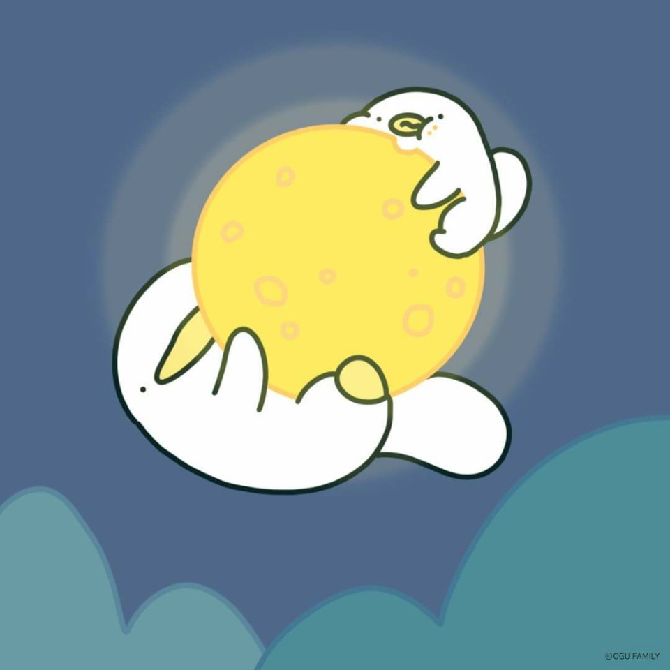 알라딘 투비컨티뉴드