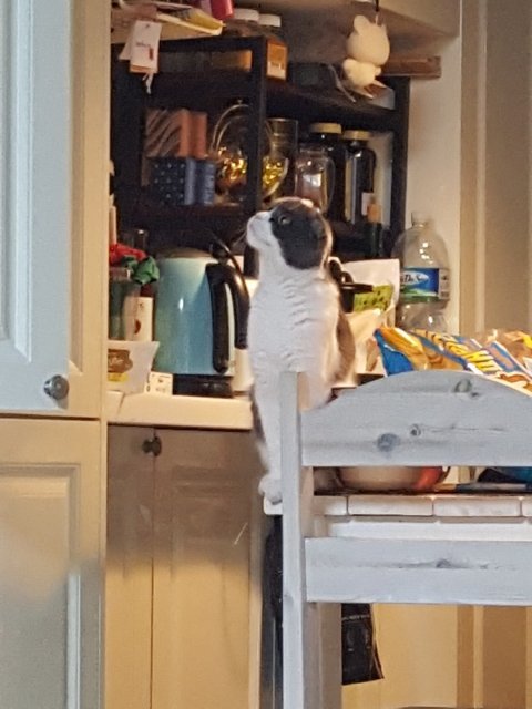 부지런한 윤정씨