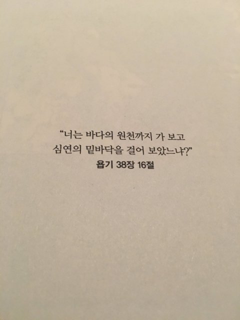 그레이