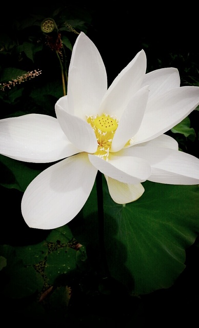 강명화성현정우맘