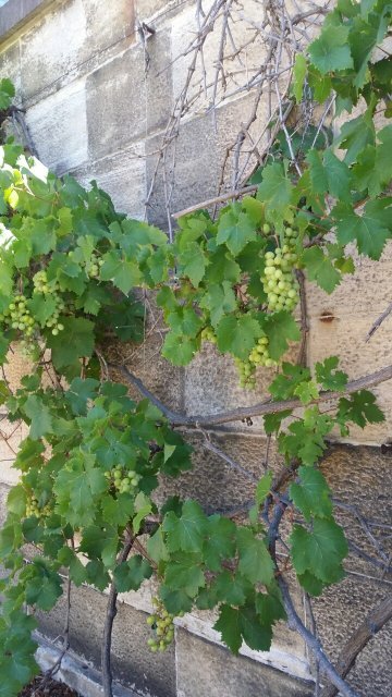 반짝반짝 작은 별