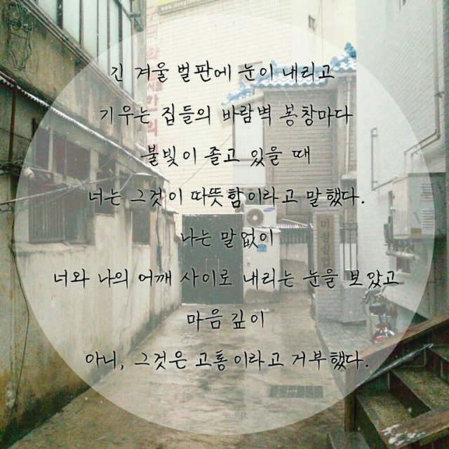 서정신우