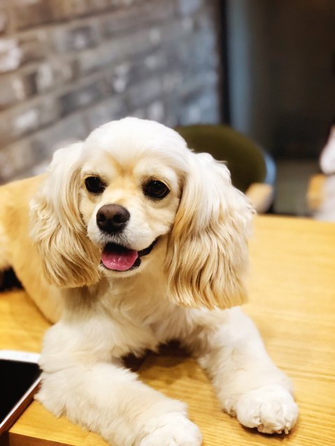 김대원