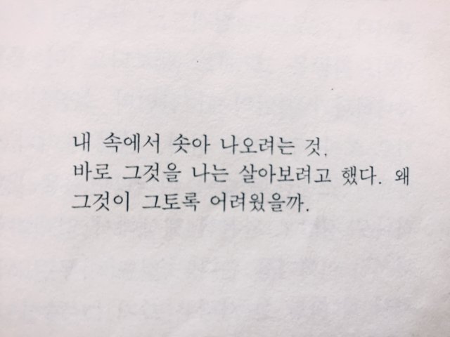 최윤정