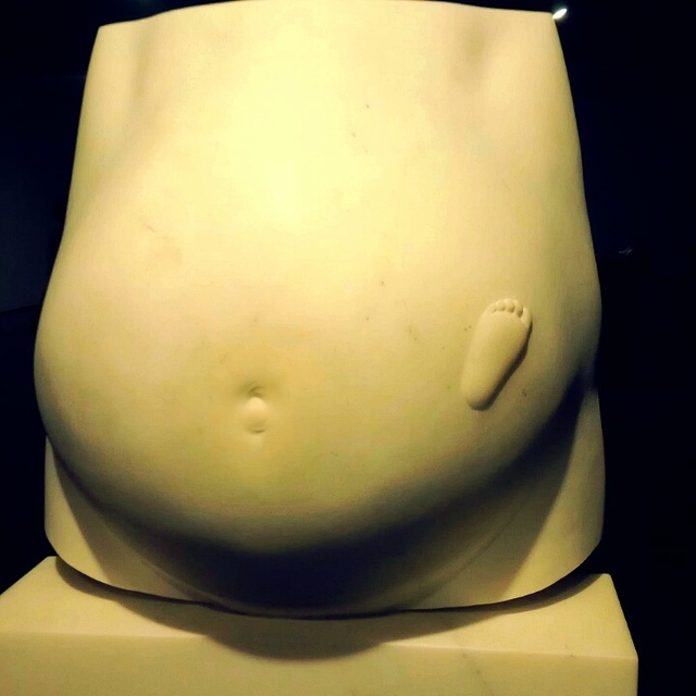 창공을 나는 연