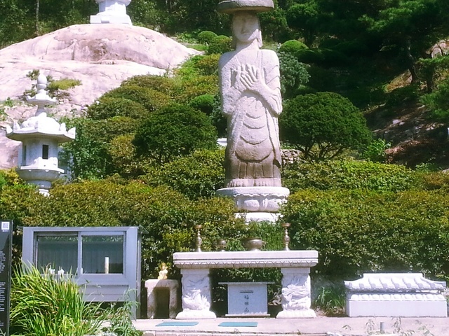 배지호 상무코토폰교체