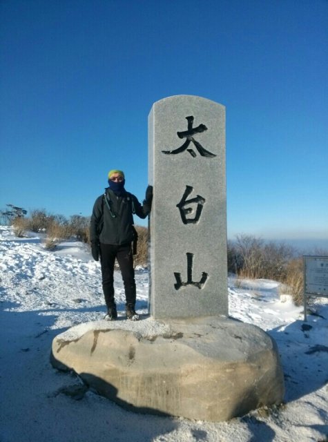 별나무