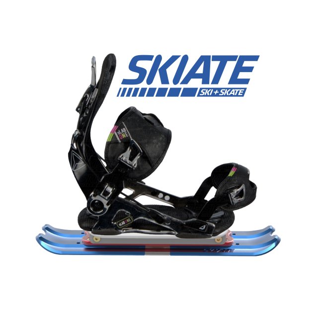 이지하 스키에이트