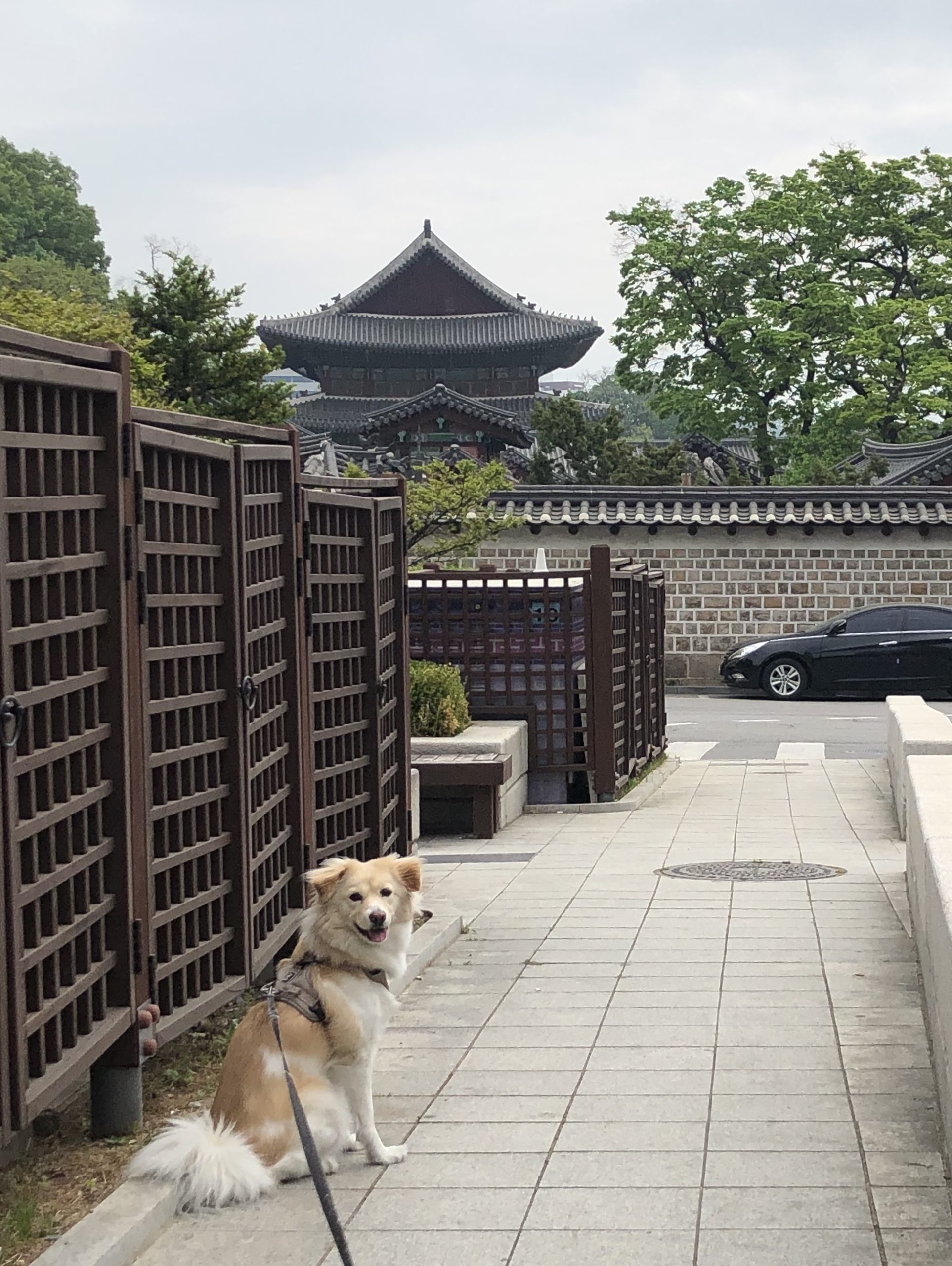 동네로 떠나는 여행