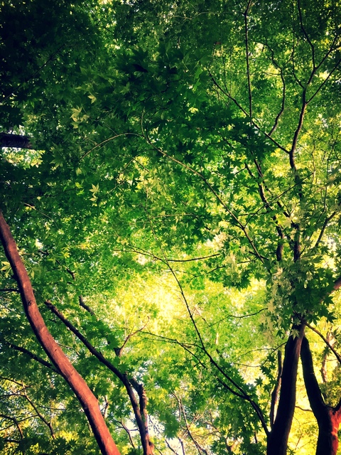 이젠 행복해지자