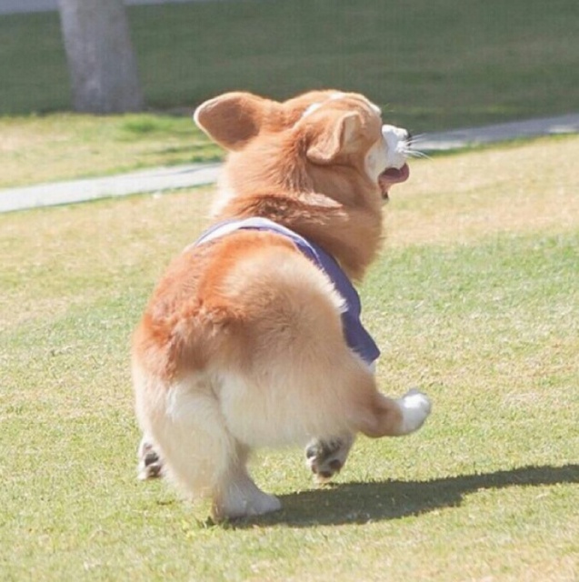 꿈을 꾸는 아이