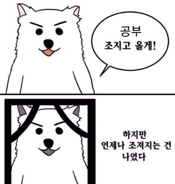 김푸른솔