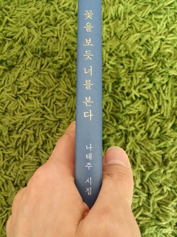 다시, 나는 시를 쓴다 - 꽃을 보듯 너를 본다, 나...