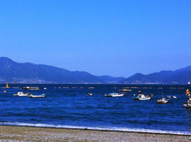 페르소나를 사랑한 나르시스